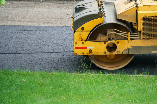 Best Custom Driveway Pavers  in Nes, IL